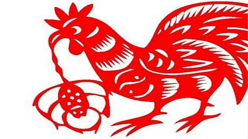属羊跟属鸡婚姻配吗