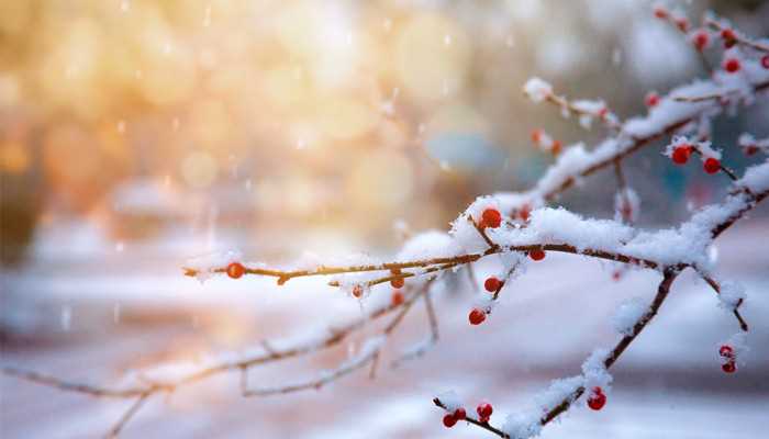 母亲去世前我梦到下雪