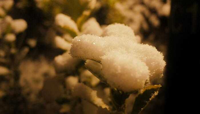 梦见雨夹雪