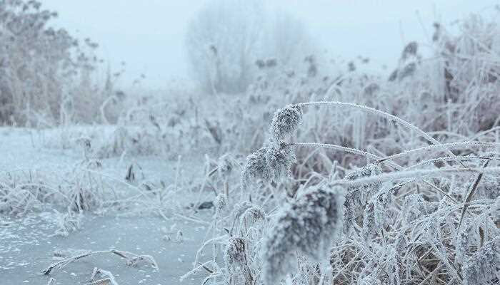 梦见大雪的梦境解析