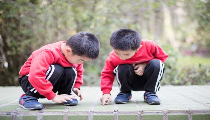 梦见双胞胎男孩