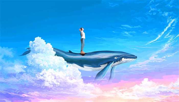 梦见鱼在天上飞