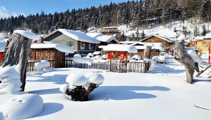 梦见下雪