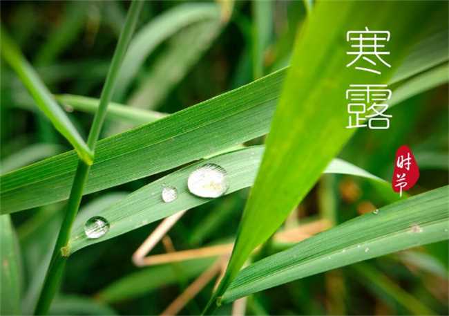 2022年寒露可以搬家吗(2022年寒露搬家好不好)