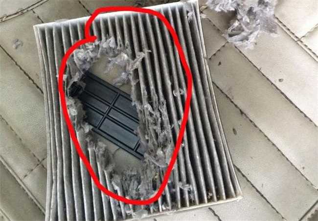 如何解决汽车空调里面的死老鼠臭味(汽车空调里有死老鼠怎么办)