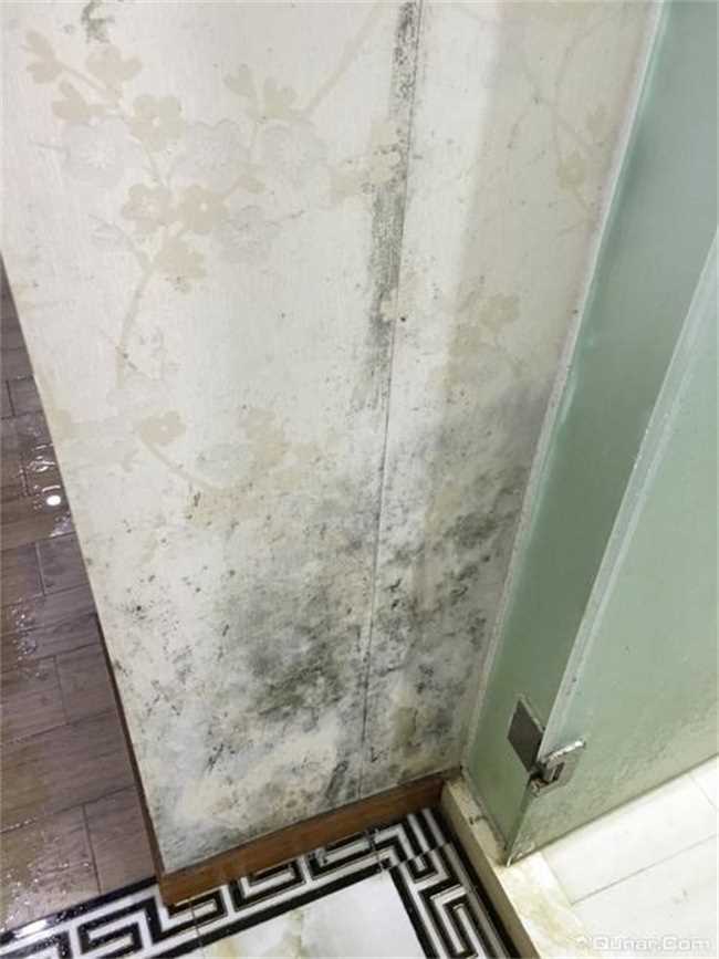 怎么去除家里异味拥有清新空气