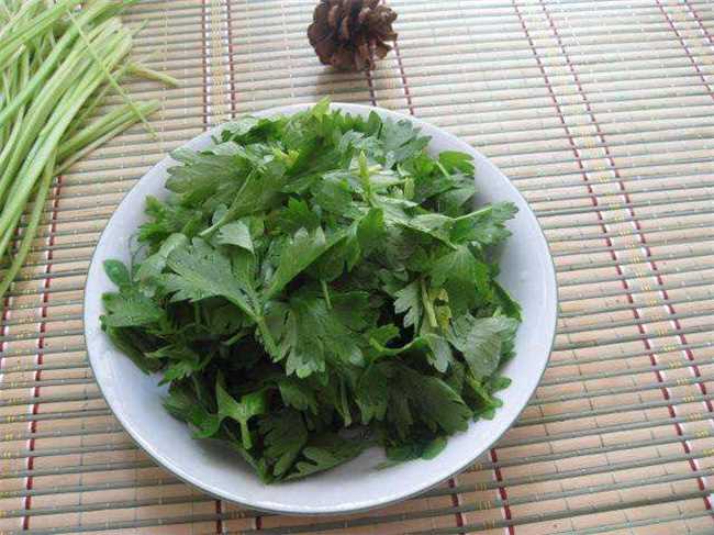 芹菜叶子吃的时候为什么要摘掉(芹菜叶子为什么要摘掉芹菜)