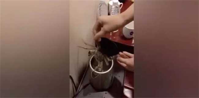 住酒店时要倒开水在马桶