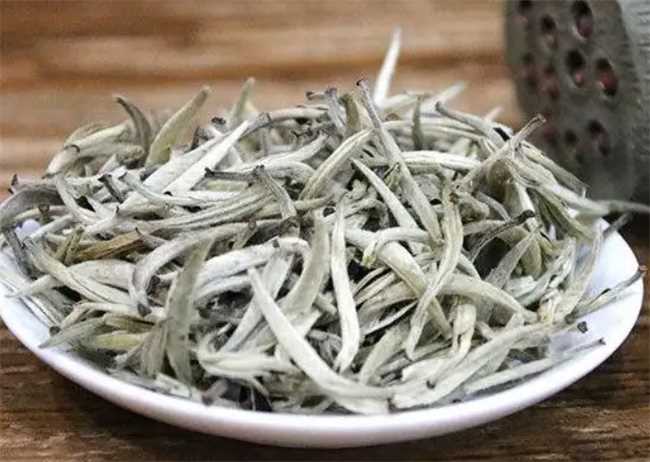 白毫银针属于绿茶吗