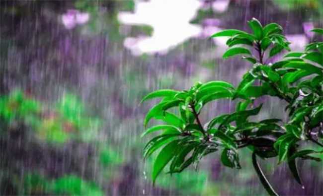 夏至下雨的话夏天会凉快吗(夏至下雨夏天会不会凉快)