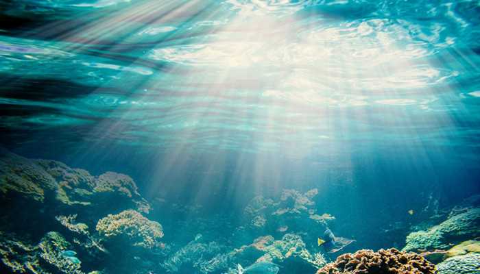 海沟是什么(海沟是位于海洋中的两壁较陡、狭长的、水深大于5000m的沟槽)
