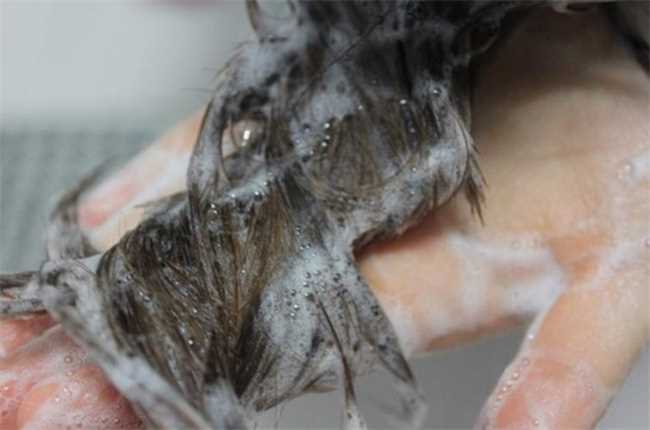 怎么有效去除头皮屑(去除头皮屑的有效方法)