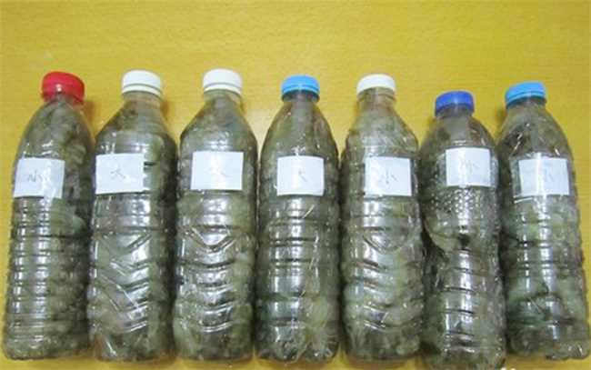 活虾可以放矿泉水瓶保存吗(活虾能放矿泉水瓶保存吗)
