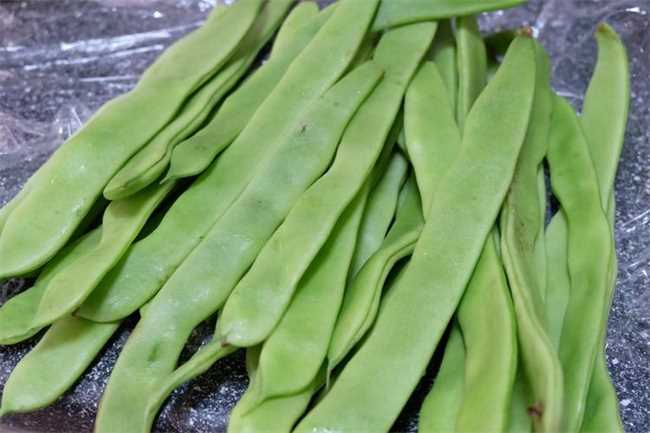 扁豆角的功效和作用及禁忌是什么