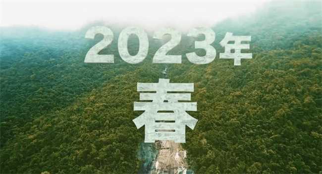 2023年是不是黑春年(2023年是黑兔年什么意思)