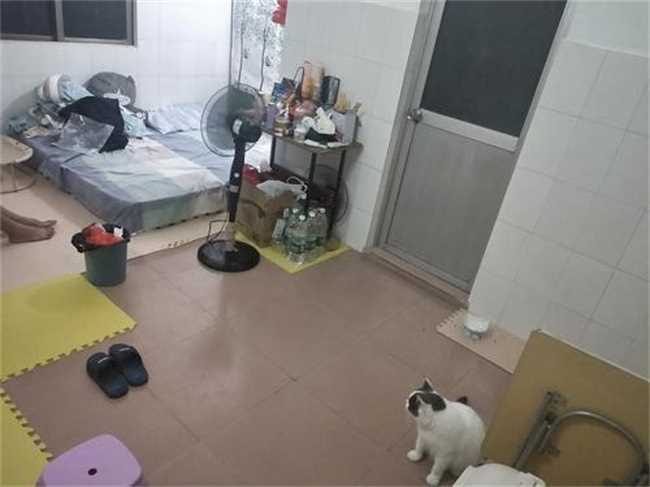 出租房为什么那么耗电(出租房电费为啥高得离谱)