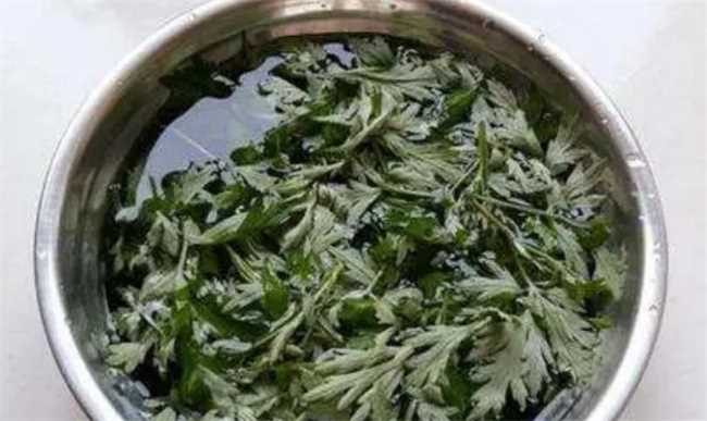 艾草可以用来洗眼睛吗