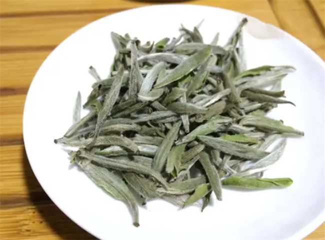 十年以上的白毫银针还能喝吗