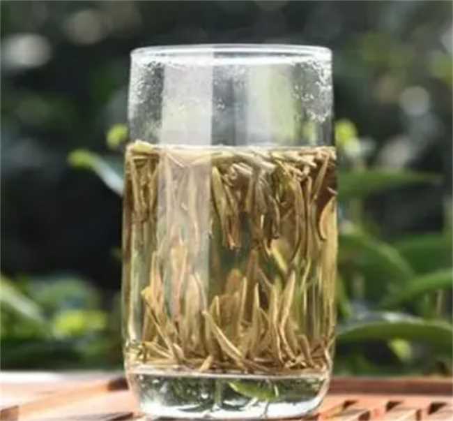 白毫银针可以用保温杯泡吗(高锰酸钾可以浇花吗白毫银针可以使用保温杯泡茶)