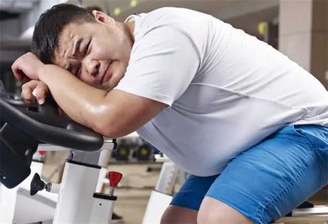 夏天减肥快还是冬天减肥快(冬天减肥比较容易还是夏天)