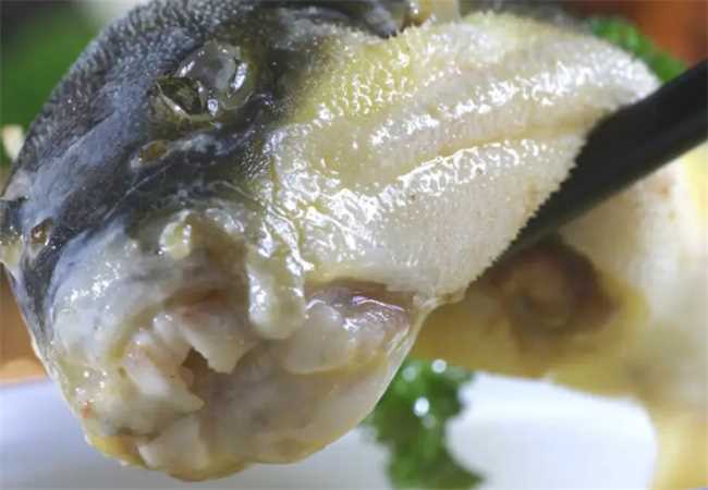 吃河豚后几个小时安全