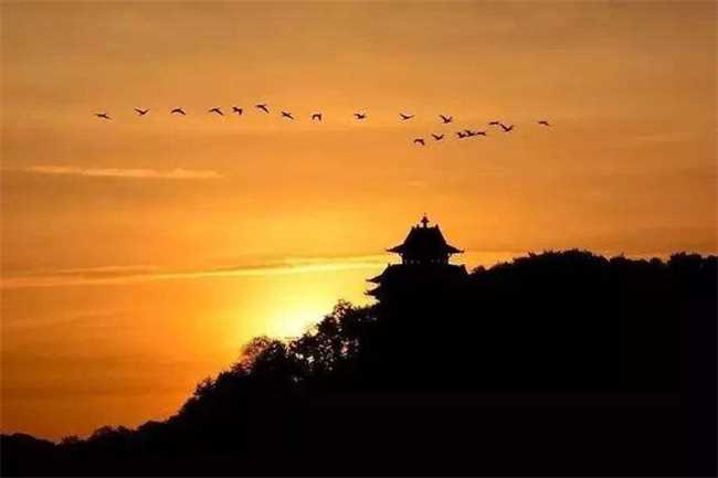 重阳节是法定假日吗(重阳节是国家法定节假日吗)