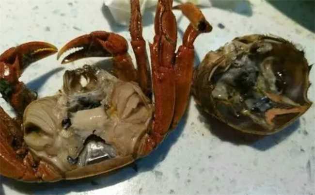 大闸蟹死了多久就不能吃了(大闸蟹死了多久不能吃了呢)