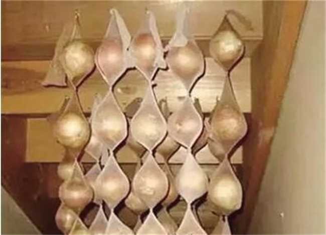 保存食物小妙招实用的方法