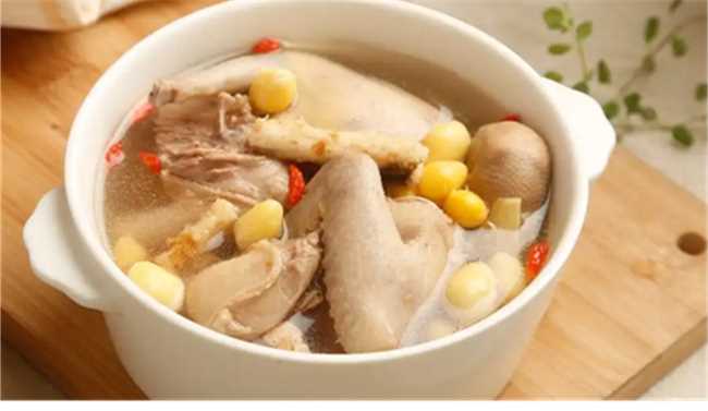 鸽子和什么一起炖汤最有营养(鸽子跟什么一起炖汤更营养)