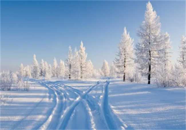 2023年冬天的雪多不多(2023年冬天的雪到底多不多)