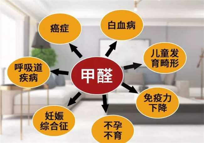 有效去除甲醛的方法是什么(有效去除甲醛的方法)