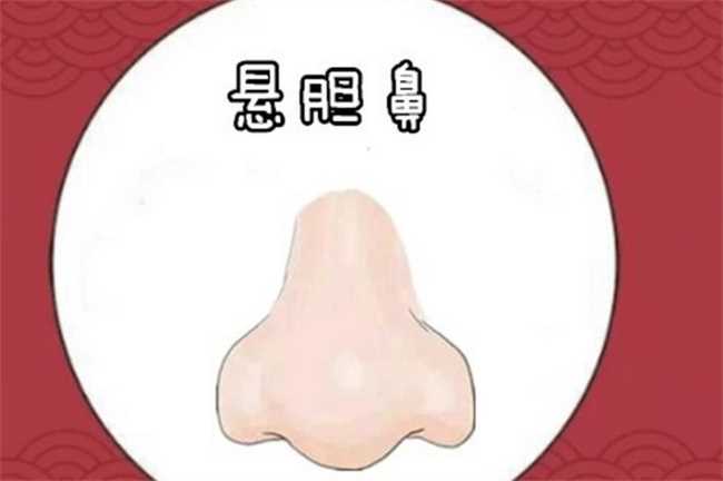 鼻子高的人财运好吗(面相鼻子高挺财气旺盛)