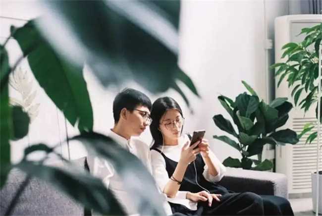 男属猪和什么属相最配夫妻