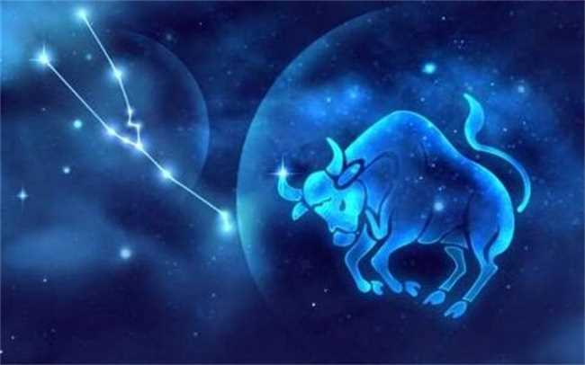 哪个星座事业心比较强(12星座哪个事业心最强)