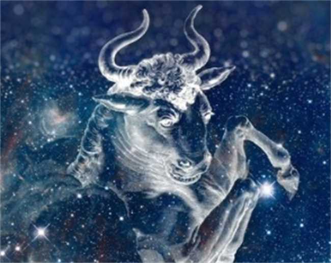 什么星座在遇到困难时会冷静面对(哪些星座在遇到困难时会冷静面对)