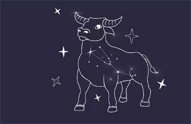 不舍得投资,错过挣钱机会的星座有哪些