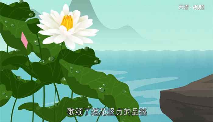 予独爱莲之濯清涟而不妖的意思(予独爱莲出淤泥而不染的意思)
