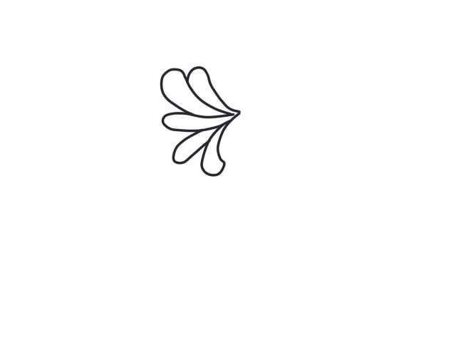 菊花简笔画(菊花简笔画好看又简单)