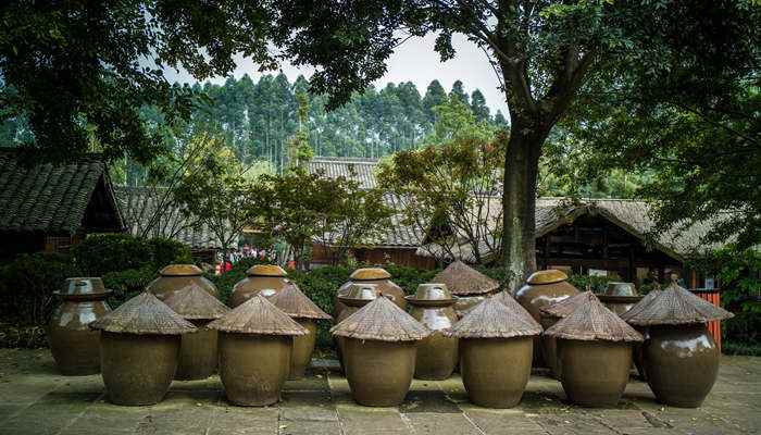 保宁醋和山西陈醋区别(山西陈醋的产地在哪里)