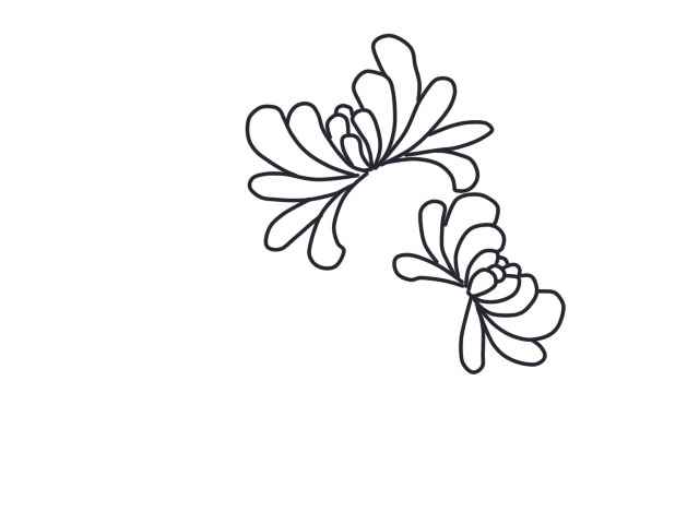 菊花简笔画(菊花简笔画好看又简单)