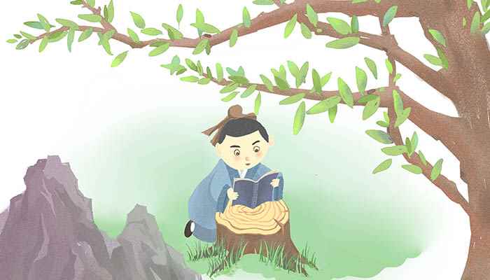 碎金鱼文言文翻译及注释(碎金鱼文言文翻译注释)