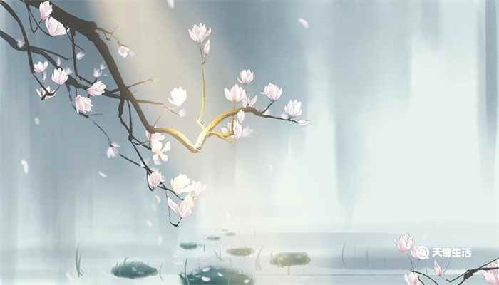 林花谢了春红全诗赏析(林花谢了春红太匆匆整首诗)