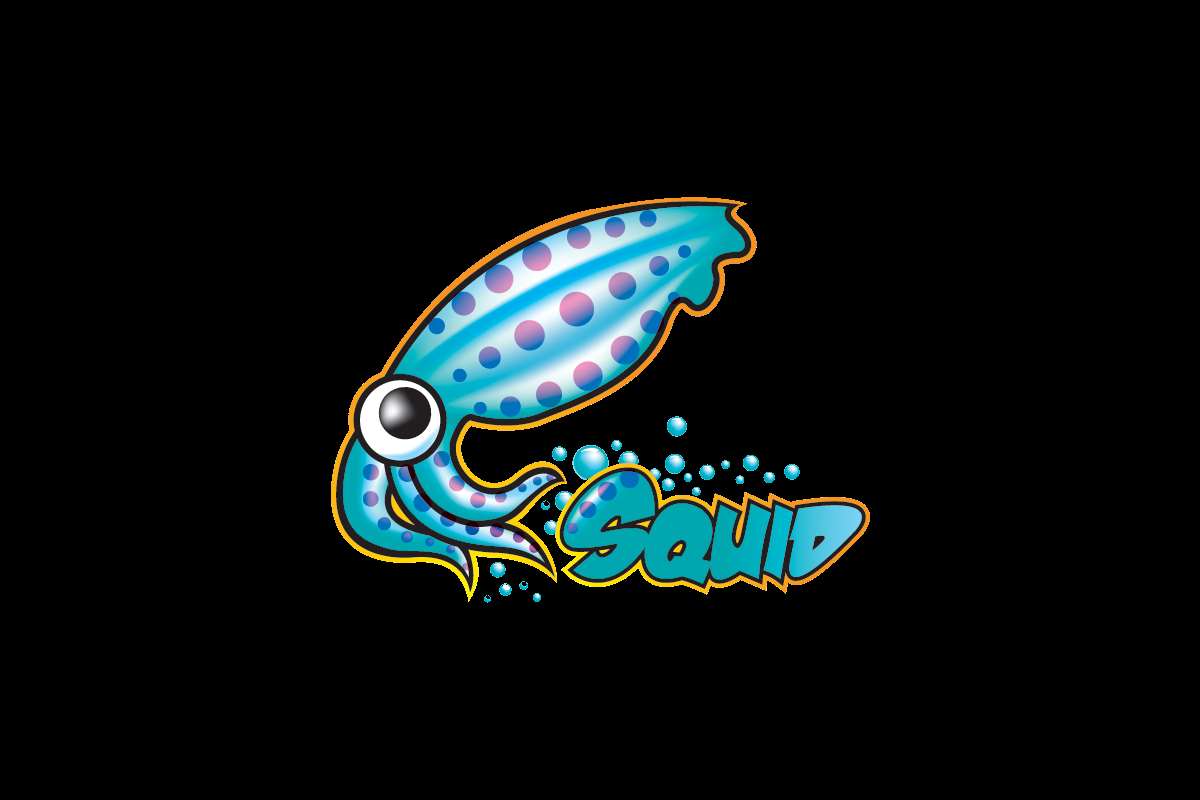 Squid 是什么