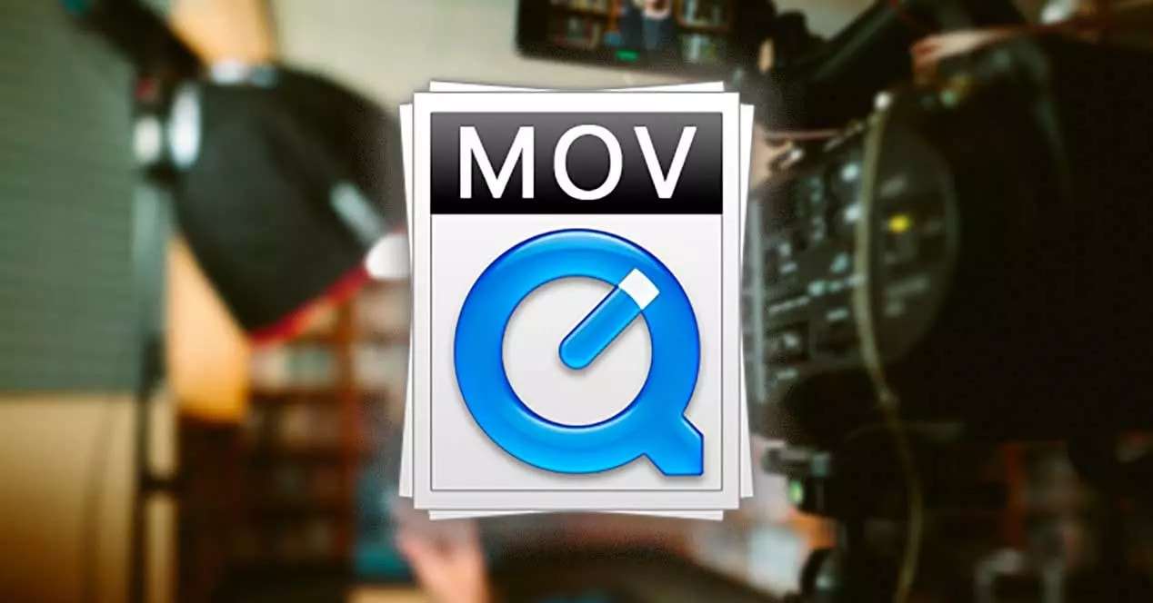MOV 格式 Mov format