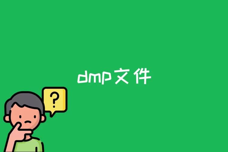 dmp文件是什么(dmp文件是什么意思)