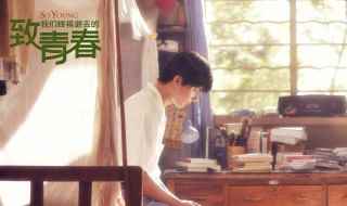 致我们终将逝去的青春演员表(《致我们终将逝去的青春》)