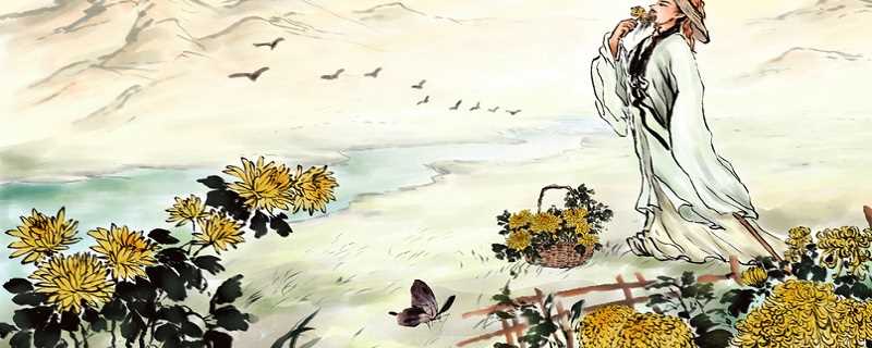 菊古 (1).jpg 采菊东篱下悠然见南山的赏析