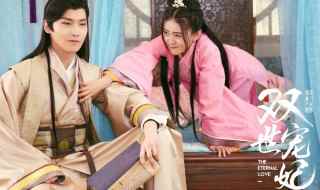 双世宠妃电视剧人物介绍(双世宠妃1-70集免费)