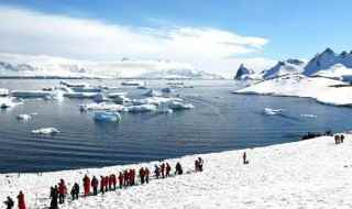 去南极旅游什么时候最好(什么季节去南极旅游最好)