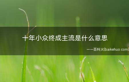 十年小众终成主流是什么梗（十年小众终成主流是什么意思）